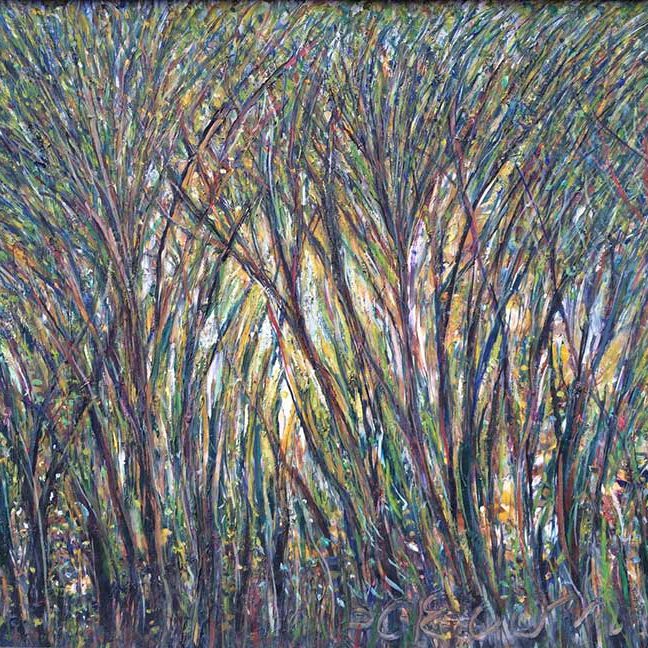 Macedonio de la Torre Selva