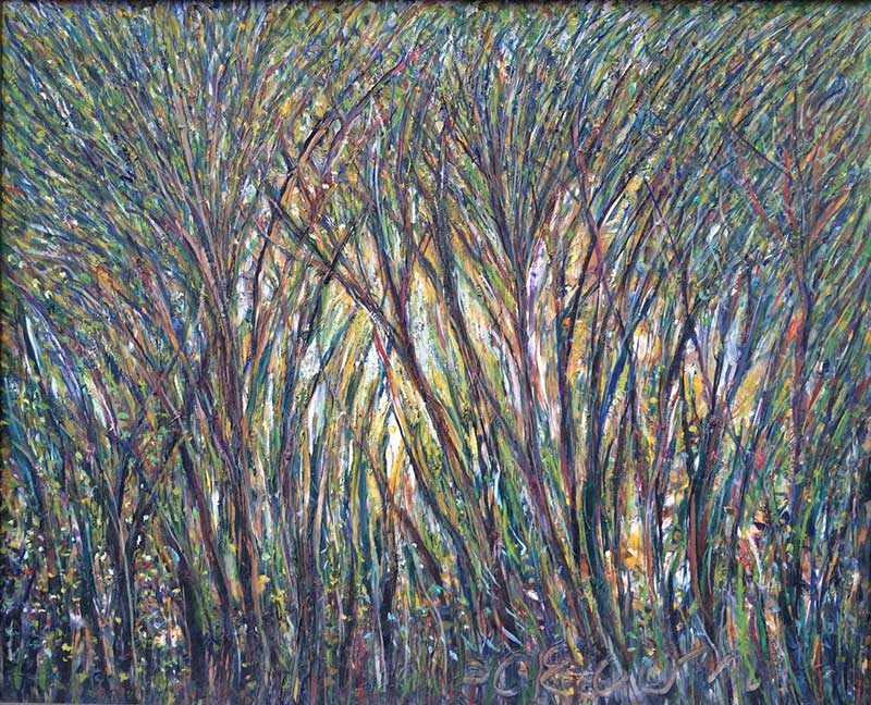 Macedonio de la Torre Selva